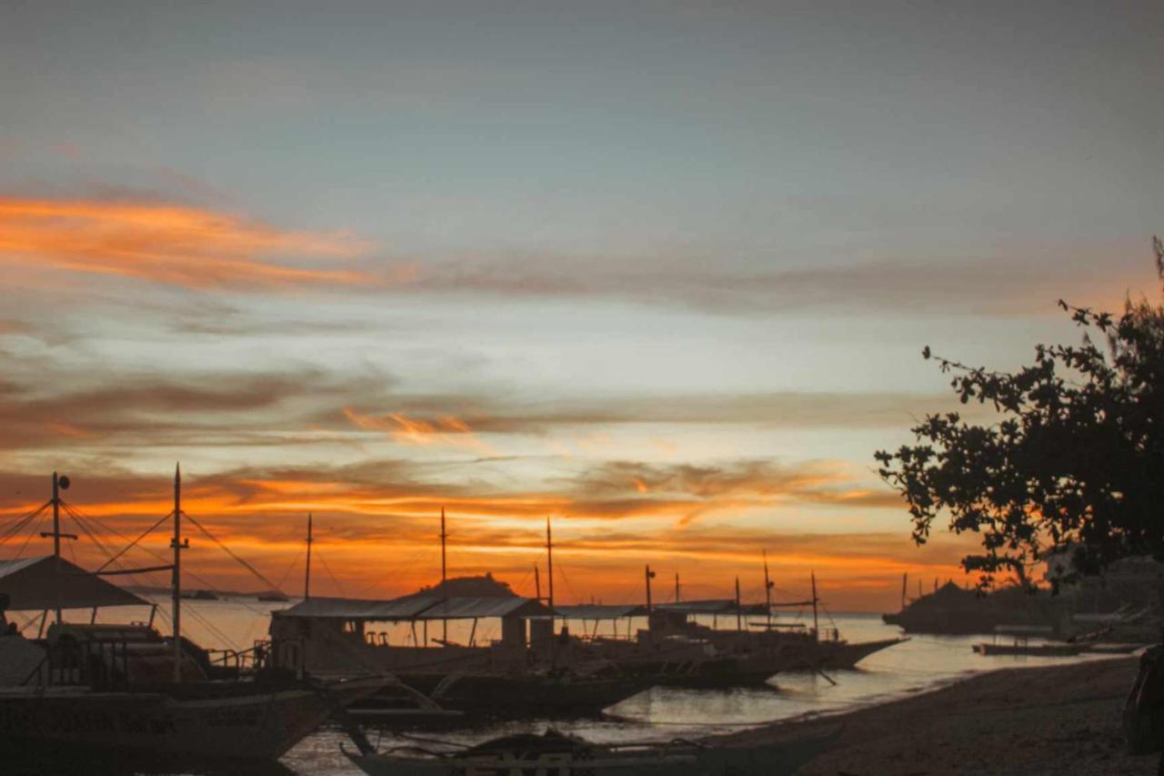 Blue Dolphin Hotel Malapascua Island Dış mekan fotoğraf